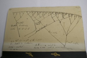 Ensign Lunt's personal sketches in the back of the Goodyear tech manual.