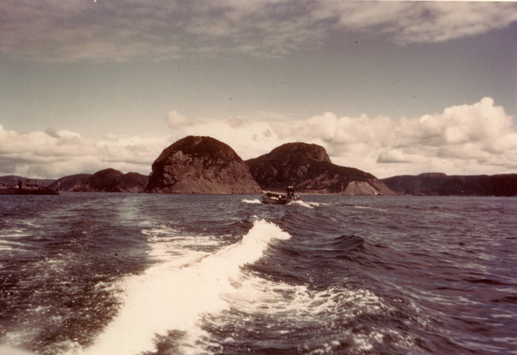 The high cliffs of Argentia Bay (USN Photo/Natl. Archives/Image # 80-G-K-13566)